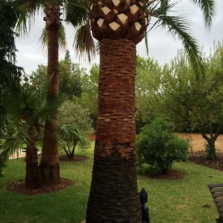 Jardí De Papallones